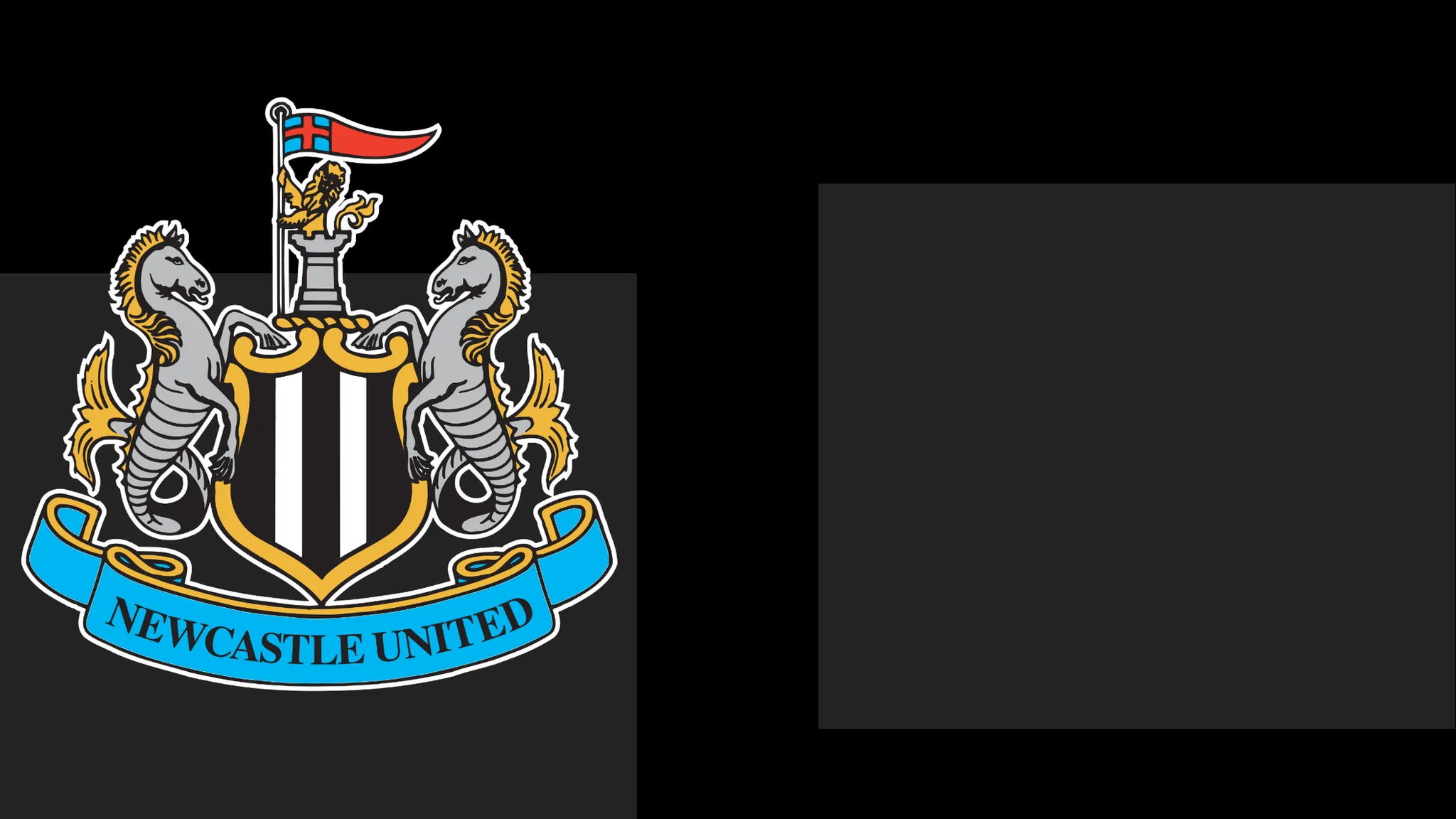 Newcastle Issue Statement of Regret to Fans Amid Ticket Issue
