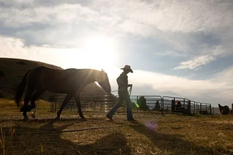 Get to Know the American Female Ranchers Redefining Contemporary Farm Life