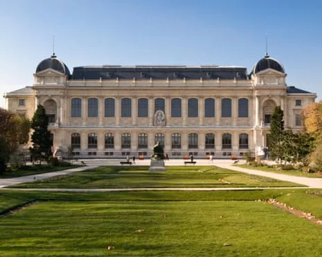 Priceless Golden Specimens Stolen in Daring Robbery at France's Natural History Institution